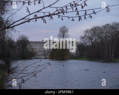 Buckingham Palace eingerahmt von Catkins im St. James's Park im Winter - Januar 2018 Stockfoto