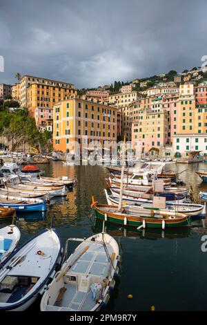 Der Hafen von Camogli, einem kleinen italienischen Dorf und Ferienort befindet sich auf der Westseite der Halbinsel von Portofino, auf den Golfo Paradiso an der Riviera di Levante, in der Provinz von Genua an der italienischen Riviera Angeln. Stockfoto