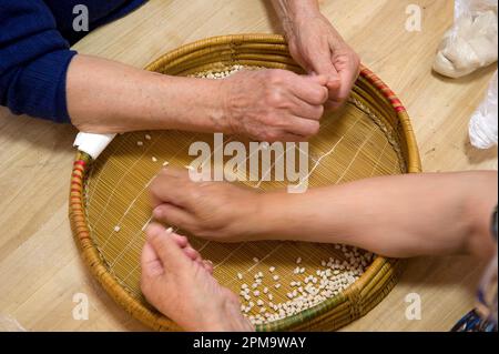 Anonyme Frau, die Teig für hausgemachte Gnocchetti Pasta Preparazione de Sos cicciones zubereitet, gli gnocchetti. Bessude. Sassari Sardinien, Italien Stockfoto