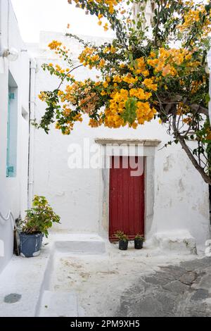 Kleine Gasse mit rotem Hauseingang und gelber Bougainvillea, Chora, Mykonos Stadt, Mykonos, Kykladen, Ägäisches Meer, Griechenland Stockfoto