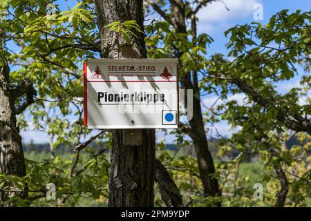 Weitwanderweg Selketal-Stieg Harz Stockfoto