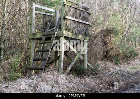 Der Jagdturm im Wald in der Nähe einer unbefestigten Straße. Stockfoto