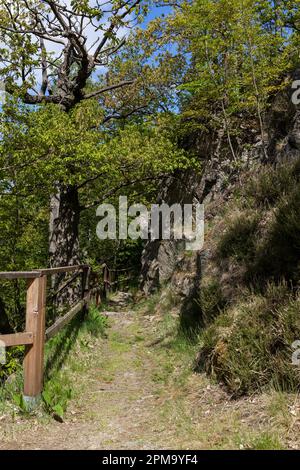 Weitwanderweg Selketal-Stieg Harz Stockfoto