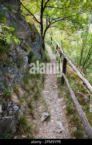 Weitwanderweg Selketal-Stieg Harz Stockfoto