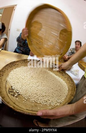 Anonyme Frau, die Teig für hausgemachte Gnocchetti Pasta Preparazione de Sos cicciones zubereitet, gli gnocchetti. Bessude. Sassari Sardinien, Italien Stockfoto