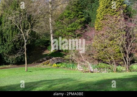 Bäume und kleine Steinbrücke in Howard Park, Glossop, Derbyshire, England. Stockfoto