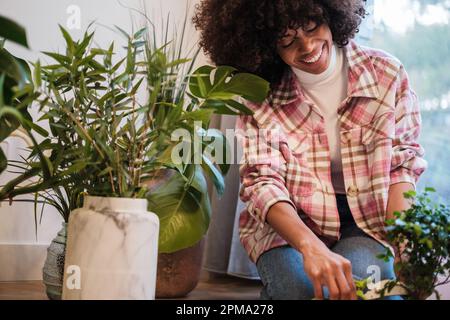 Junge Frau, die sich um ihre Zimmerpflanzen kümmert und Gartenarbeit macht, um ihre Freizeit zu Hause zu genießen. Konzept: Lifestyle, Gartenarbeit Stockfoto