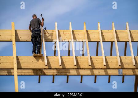 Zimmermann, auf einem Dachträger, Neubau eines spitzen Holzdachs, Renovierung, Stockfoto