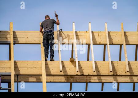 Zimmermann, auf einem Dachträger, Neubau eines spitzen Holzdachs, Renovierung, Stockfoto