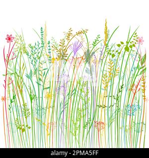 Grüne Silhouetten von Gras, Blumen und Kräutern isoliert auf weißem Hintergrund. Handgezeichnete Blumen und Gras Stock Vektor