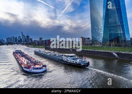 Skyline Frankfurt am Main, Wolkenkratzer, Geschäfts- und Bankenviertel in der Innenstadt, Frachtschiffe, Tanker, am Main, EZB-Gebäude, Hessen, Deutschland, Stockfoto