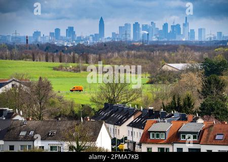 Blick vom Dorf Weilbach, einem Stadtteil Flörsheim am Main im Stadtteil Main-Taunus in Südhessen, auf die Skyline von Frankfurt am Main, Stockfoto