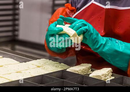 Molkerei- und hellim-Käseherstellung (Halloumi) in Nikosia, Zypern Stockfoto