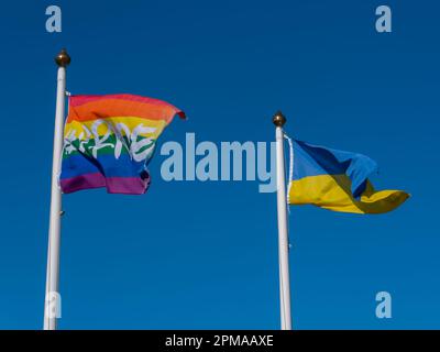 Die ukrainische Flagge und die Regenbogenflagge auf den Flaggenmasten auf dem Hintergrund eines blauen Himmels. Zwei Flaggen und ein wolkenloser Himmel. Stockfoto