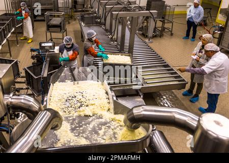 Molkerei- und hellim-Käseherstellung (Halloumi) in Nikosia, Zypern Stockfoto