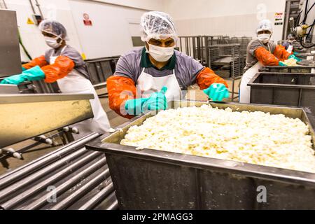 Molkerei- und hellim-Käseherstellung (Halloumi) in Nikosia, Zypern Stockfoto