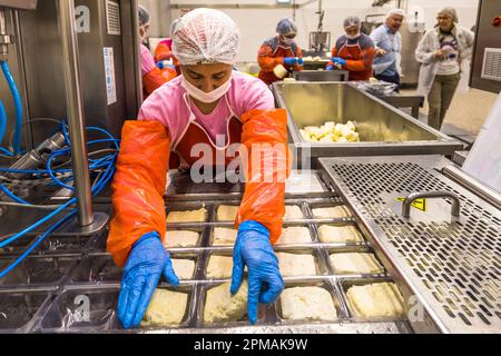 Molkerei- und hellim-Käseherstellung (Halloumi) in Nikosia, Zypern Stockfoto