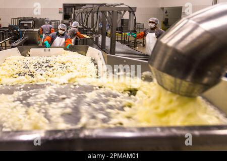 Molkerei- und hellim-Käseherstellung (Halloumi) in Nikosia, Zypern Stockfoto