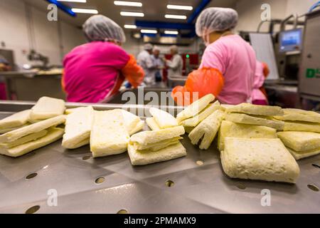 Molkerei- und hellim-Käseherstellung (Halloumi) in Nikosia, Zypern Stockfoto