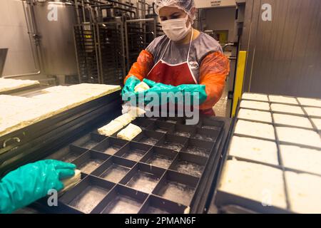 Molkerei- und hellim-Käseherstellung (Halloumi) in Nikosia, Zypern Stockfoto