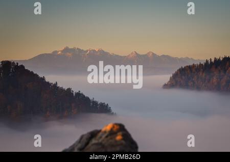 Fabelhafte farbenfrohe Herbstlandschaft. Magischer Morgen in den polnischen Bergen. Foto auf dem Gipfel der Sokolica in Pieniny, Polen. Stockfoto