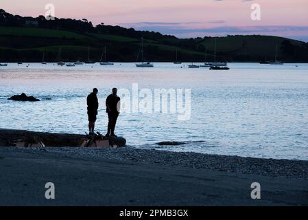 Abendlicht am Strand von Polgwidden Cove am Helford River in Cornwall, Großbritannien. Stockfoto