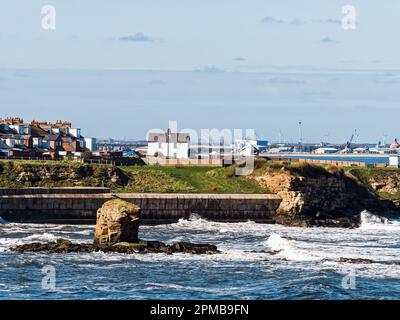 Charlie's Garden Sandsteinfelsen in Collywell Bay, Seaton Sluice, Norhumberland, Großbritannien, die vom Festland erodiert wurden. Stockfoto