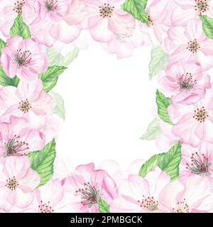 Aquarelle Darstellung handgezeichnet im botanischen Stil. Rahmen aus pinkfarbenen Kirschblüten, Knospen und grünen Blättern auf weißem Hintergrund zum Erstellen von Karten Stockfoto