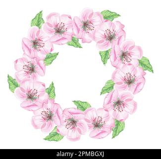 Aquarelle Darstellung handgezeichnet im botanischen Stil. Kranz mit rosafarbenen Kirschblumen, Knospen und grünen Blättern auf weißem Hintergrund zum Erstellen von Karten Stockfoto