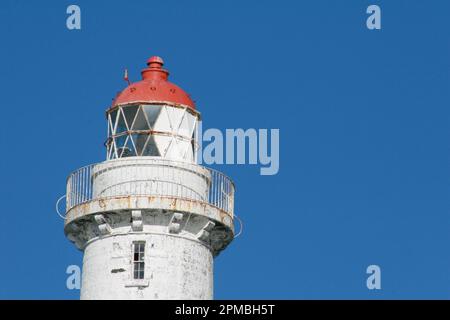 Taiaroa Head Lighthouse auf der Halbinsel Otago, Dunedin, Neuseeland Stockfoto