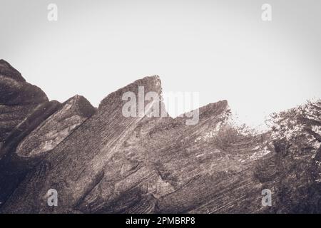 Schwarze Pinselstriche auf weißem Papier isoliert. Schwarzer Pinsel streichelt Ölfarben auf weißem Papier. Isoliert auf weißem Hintergrund. Abstrakter kreativer weißer schwarzer Hintergrund Stockfoto