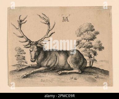 Print, Stag, 1649; Print Maker: Wenceslaus Hollar (1607–1677); After Albrecht Dürer (Deutsch, 1471–1528); England; Ätzen auf Papier; 9,1 x 11,8 cm (3 9/16 x 4 5/8 Zoll); Bequest von George Campbell Cooper; 1896–3-144 Stockfoto