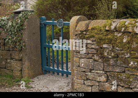 Dystonwand mit Efeu und Moos und einem blauen Tor, auf dem die Nummer 23 steht Stockfoto