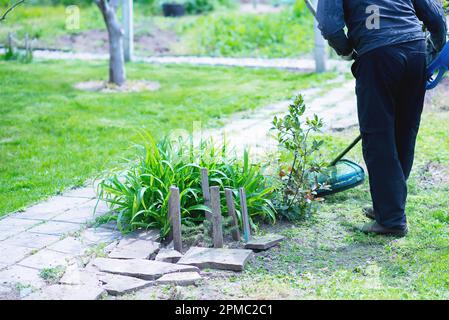 Gartenarbeit. Rasen mit kabellosem Rasentrimmer, Kantenschneider, Nahaufnahme schneiden. Stockfoto