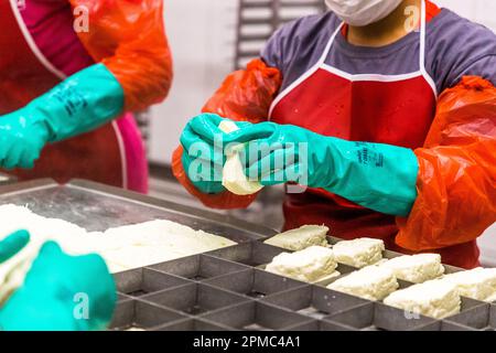 Molkerei- und hellim-Käseherstellung (Halloumi) in Nikosia, Zypern Stockfoto