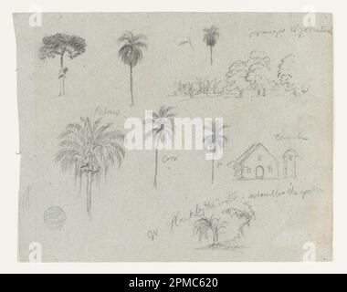 Zeichnen, Skizzen aus Rio Magdalene, Kolumbien: Botanical Studies and a Church; Frederic Edwin Church (amerikanisch, 1826–1900); Kolumbien; Graphit auf grauem Papier; Blatt: 21,5 x 27,6 cm (8 7/16 x 10 7/8 Zoll) Stockfoto