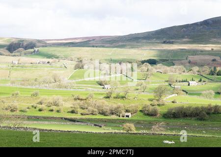 Landschaftsbilder in der Nähe des Dorfes Aysgarth im Norden von Yorkshire, England Stockfoto