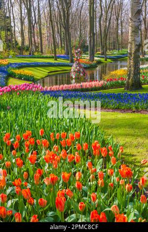 Gartenszene im Keukenhof Gardens in Südholland in den Niederlanden. Stockfoto