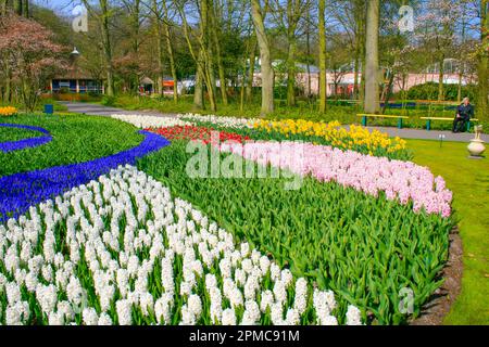 Gartenszene im Keukenhof Gardens in Südholland in den Niederlanden. Stockfoto