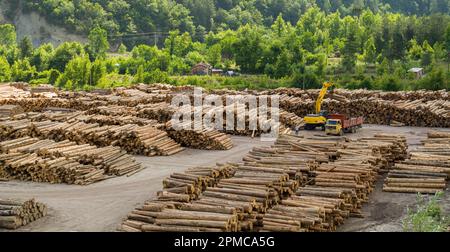 Ein Kran sammelt in der Holzfabrik Stämme auf. Holz- und Holzlagerung. Stockfoto