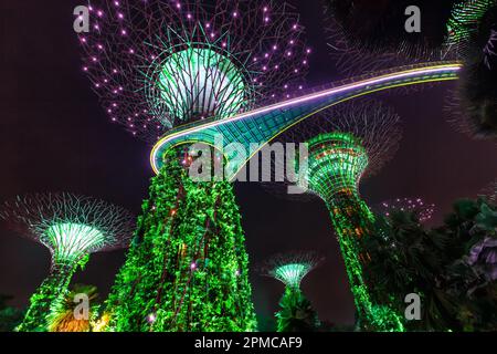 Gärten an der Bucht mit dem Supertrees Wahrzeichen in der Dämmerung Singapurs Stockfoto