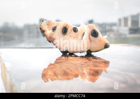 Nahaufnahme eines Puddingapfels, einer exotischen Frucht mit einem Vanilleduft und süßem Geschmack. Die äußere Textur sieht fast wie Schuppen aus, ist aber weich und weiß Stockfoto