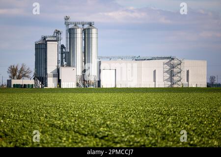 Eine Futtermittelfabrik vor dem Hintergrund grüner landwirtschaftlicher Felder. Getreidesilos neben der Verarbeitungsanlage. Foto bei sonniger Sonne Stockfoto