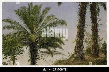 Zeichnen, Palmen, Jamaika; Frederic Edwin Church (amerikanisch, 1826–1900); USA; Pinsel- und Ölfarbe auf Pappe; 30,3 x 50,7 cm (11 15/16 x 19 15/16 Zoll) Stockfoto