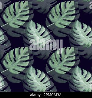 Nahtloses Aquarell-Muster. Blätter von Monstera Monstera deliciosa, tropische Pflanzen, die in der Wildnis wachsen, isoliert auf weißem Hintergrund, von Hand gezeichnet Stockfoto