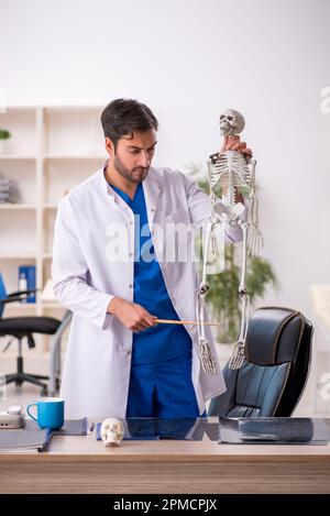 Junger männlicher Arzt, der das menschliche Skelett in der Klinik studiert Stockfoto