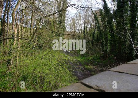 Brücke über Old Hull zur Barnsley Eisenbahnlinie in Drewton South Cave East Yorkshire UK Stockfoto