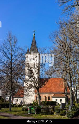 Dorfkirche Stralau auf dem Friedhof Alt-Stralau im Stadtteil Friedrichshain in Berlin, Deutschland, Europa Stockfoto