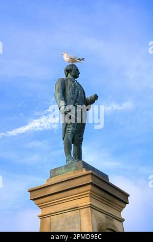 Bronzestatue des berühmten britischen Entdeckers Captain James Cook (1728-1779) mit Möwe (Heringsmöwe), West Cliff, Whitby, North Yorkshire, England, UK Stockfoto