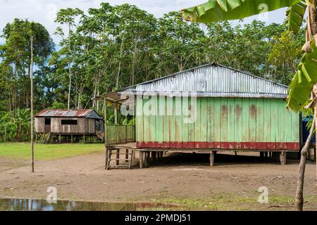 Riberenos-Gemeinden und -Häuser liegen im peruanischen Amazonas Stockfoto